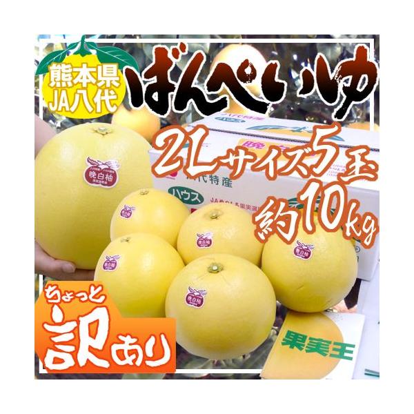 F{Y hӔMh ΂؂ Ɩ󂠂 2LTCY 5 10kg y\ 12ȍ~z 