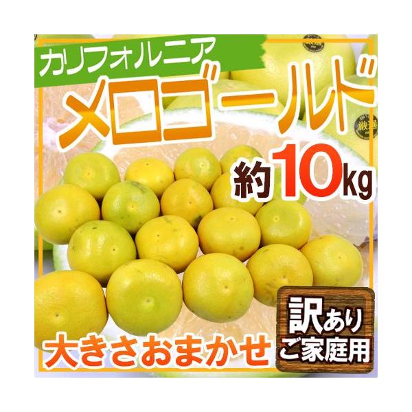 hJtHjAY S[hh 󂠂 10kg 傫܂y\ 11ȍ~z 