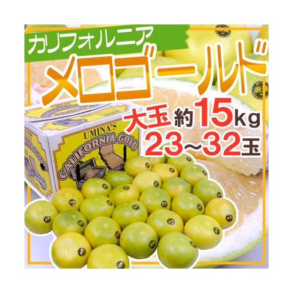 JtHjAY hS[hh  23`32 15kgy\ 11ȍ~z 