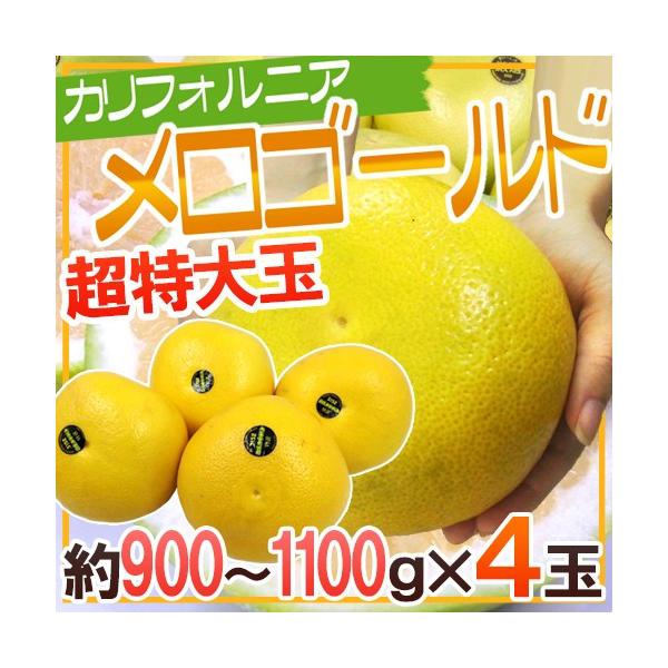 hJtHjAY S[hh W{TCYI1kgO×4ʁy\ 11ȍ~z 