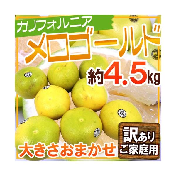 hJtHjAY S[hh 󂠂 4.5kg 傫܂y\ 11ȍ~z 