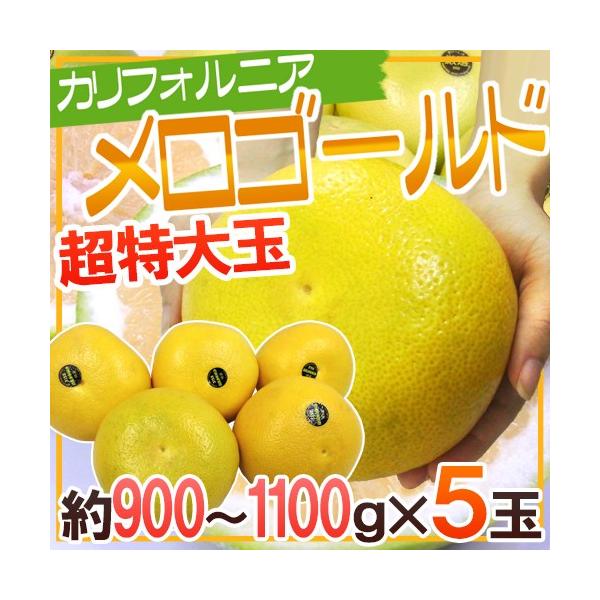 hJtHjAY S[hh W{TCY 5 4.5kgy\ 11ȍ~z 