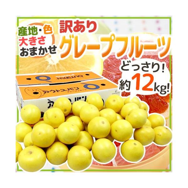 グレープフルーツ様 リクエスト 2点 まとめ商品 ⓗ様 リクエスト 2点 まとめ商品 - メルカリ