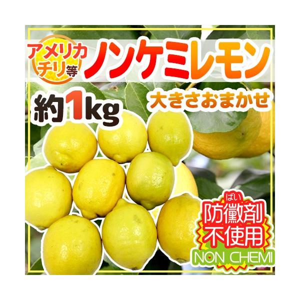61円 贅沢 香酸かんきつ類 レモン れもん ２玉 アメリカ チリ産