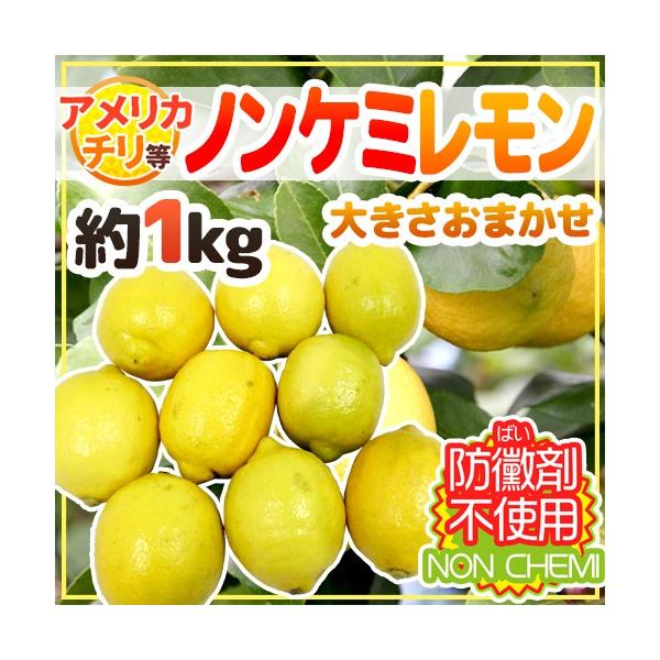 `EAJYȂ hmP~h 傫܂ 1kg S̖h΂ܕsgpImP~J/hꀍ܁ihэ܁jsgpy\ ׎攭z