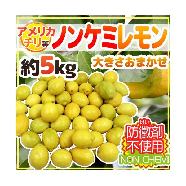 `EAJYȂ hmP~h 傫܂ 5kg S̖h΂ܕsgpImP~J/hꀍ܁ihэ܁jsgpy\ ׎攭z