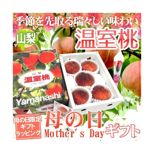 ��̓��M�t�g �h�R�� �������h ���ϔ� 3�`6�� ��1kg �J�[�l�[�V�������ԕt���y�\�� 5��2���`5��10�����͂��\��z ��������