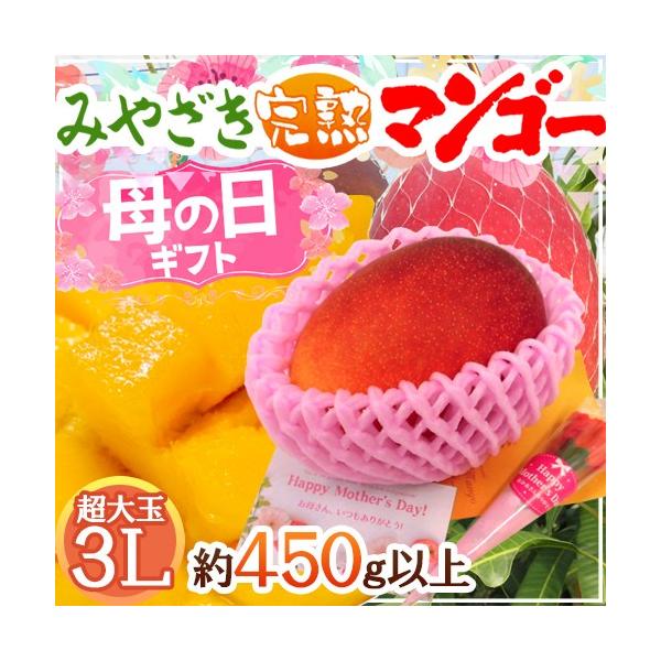 母の日 マンゴーの人気商品・通販・価格比較 - 価格.com