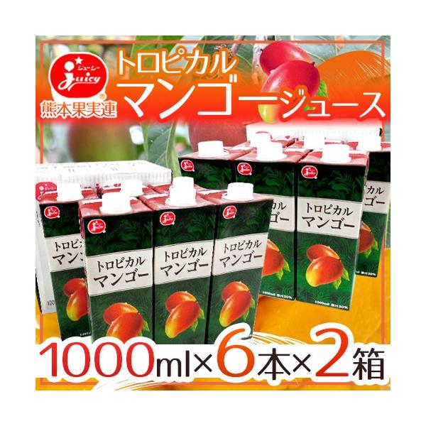 W[V[ hgsJ}S[W[Xh 1000ml×6{×2 