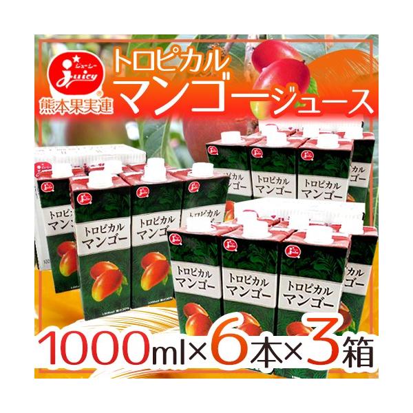 W[V[ hgsJ}S[W[Xh 1000ml×6{×3 