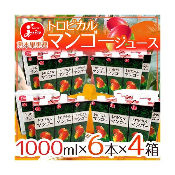 W[V[ hgsJ}S[W[Xh 1000ml×6{×4 