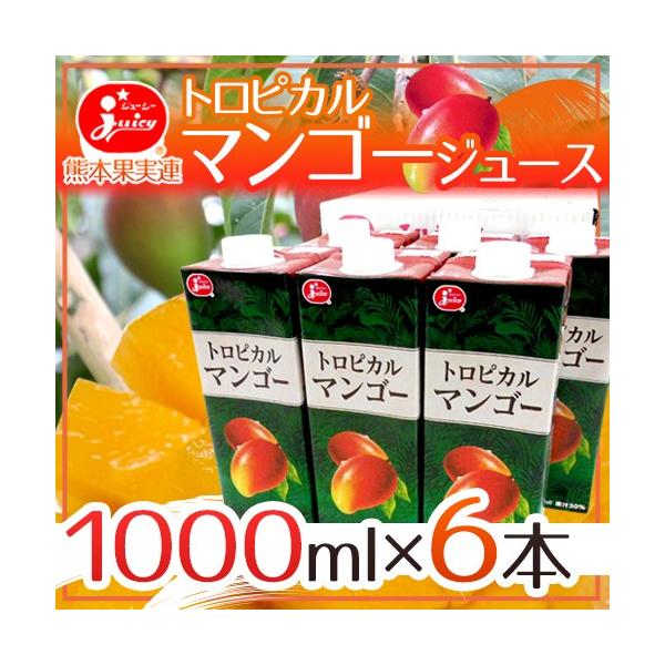 W[V[ hgsJ}S[W[Xh 1000ml×6{