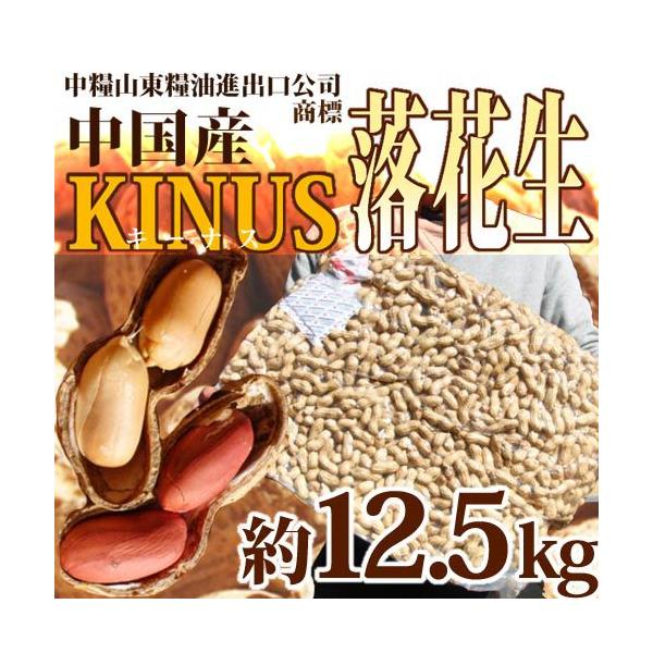 嗱 hY Ԑh ^pbN 12.5kg ts[ibc