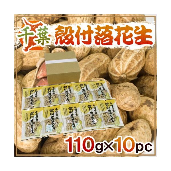 tY hktԐh 110g×10 Y s[ibcy\ ׎攭z 