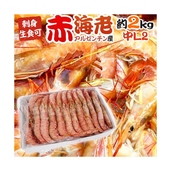 生でも焼いても煮ても美味しいオールラウンダー海老！甘海老のようなネットリとした食感と甘さ、ボタンエビのようなボリュームが魅力♪鮮度抜群です！アルゼンチンアカエビ/赤海老/甘エビ/えび/エビ/海老/カラ付き/殻付き/ブロック/業務用/冷凍/2...