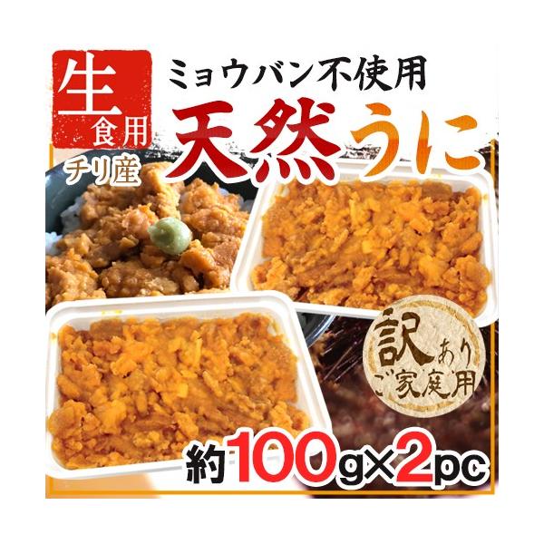 hVRɁh 100g×s2pct `Y Hp u`@ ~Eosgp 