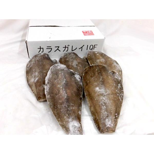送料無料 カラスカレイ ドレス 5 8尾前後 約5kg 鰈 カラスガレイ Buyee Buyee 日本の通販商品 オークションの代理入札 代理購入