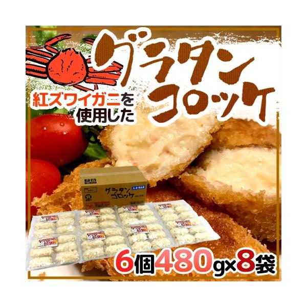 g킢ɂgp hO^RbPh 6 480g×s8܁t N[RbP 
