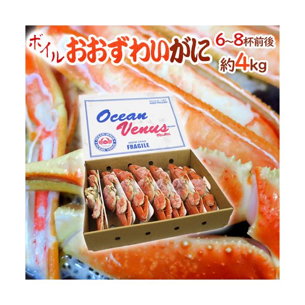 【送料無料】濃厚な旨味のオオズワイガニ?そのまま食べられる！ボイル済♪プロの技術で茹でられている、カニならではのプリプリの身?鍋などにも丁度いいサイズでお届けします♪/4キロ/爆買