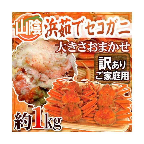 RAY hl䥂ŃZRKjh 󂠂 1kg 傫܂y\ 11{ȍ~z 