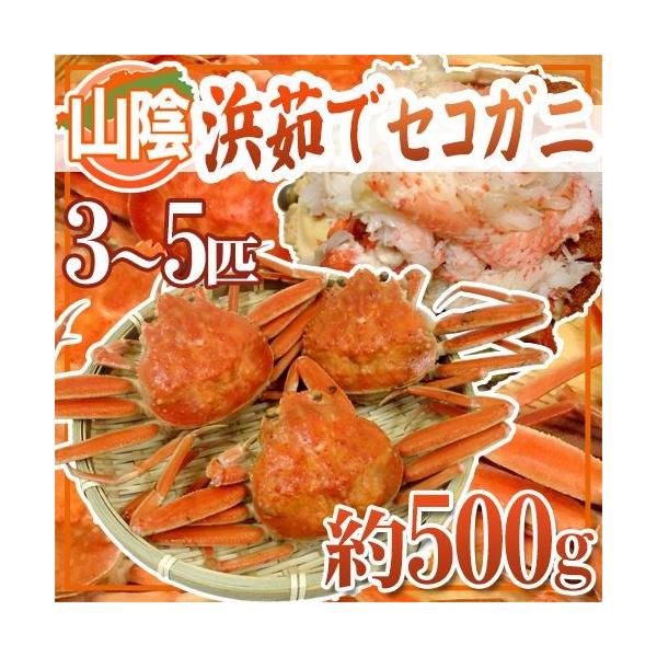 RAY hl䥂ŃZRKjh 3`5CO 500gy\ 11{ȍ~z 