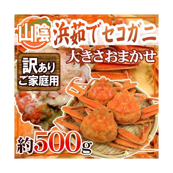 RAY hl䥂ŃZRKjh 󂠂 500g 傫܂y\ 11{ȍ~z 