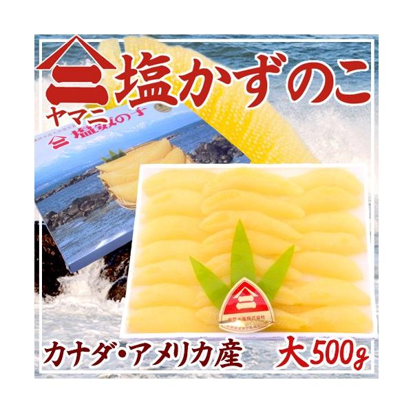 北海道 井原水産 ”ヤマニ 塩数の子” 大 約500g 化粧箱 カナダ・アメリカ産 塩かずのこ【予約 12月以降】 送料無料