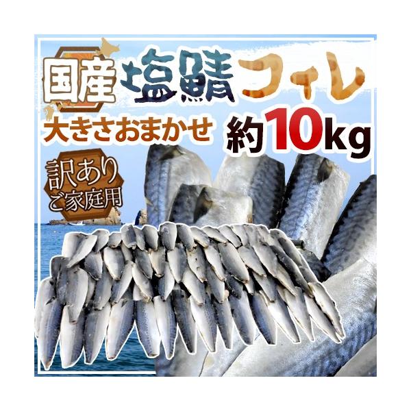 Y hItBh 󂠂 10kg 傫܂ O낵 To 