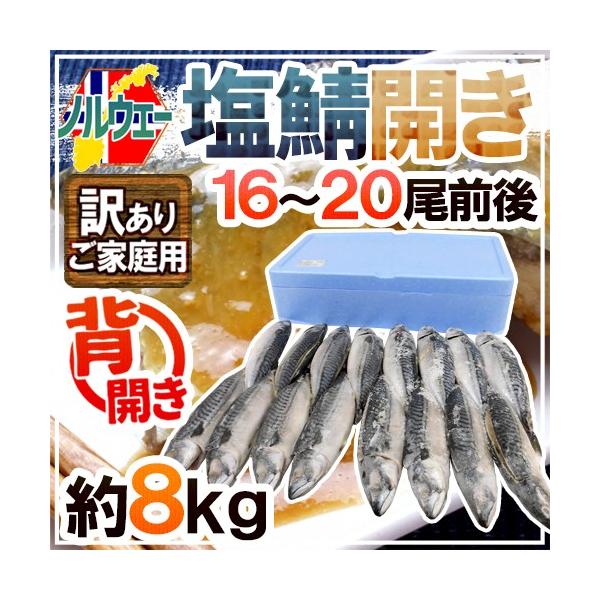 ノルウェー ”塩鯖開き” 訳あり 16〜20尾前後 約8kg 背開き 塩