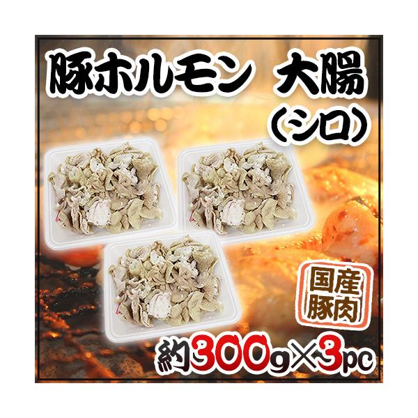 豚の大腸（シロ）は味が良くコクがあり、コシのある歯応えが特徴。ホルモンの中でも特に脂ののっている人気の部位です！/ホルモン/焼肉/もつ/モツ/やきにく/ヤキニク/豚/ブタ/ぶた/爆買