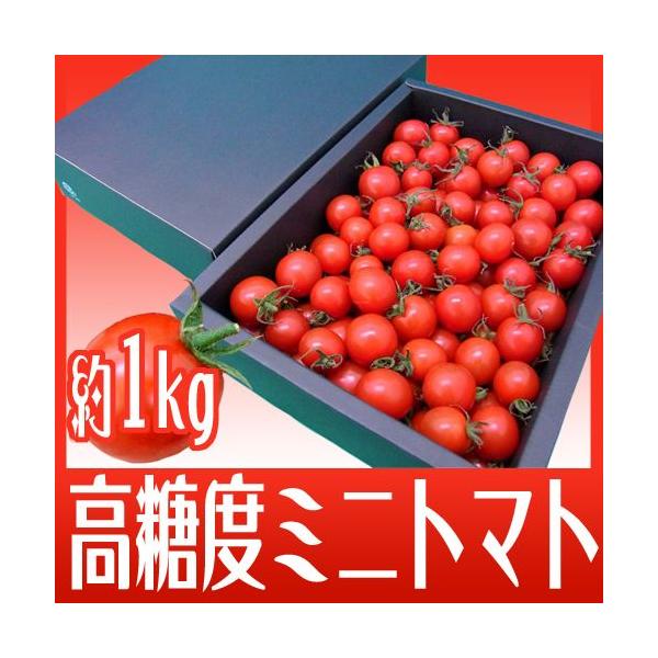 a̎RY t[c~jg}g hLZuh 1kg ϔy\ 11{ȍ~z