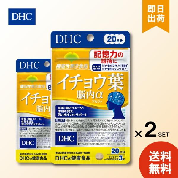 DHC イチョウ葉脳内α 20日分 60粒 18g ×2 脳 血流 改善 記憶力 維持 アルファ イチョウ葉 フラボノイド 思い出す力 記憶力