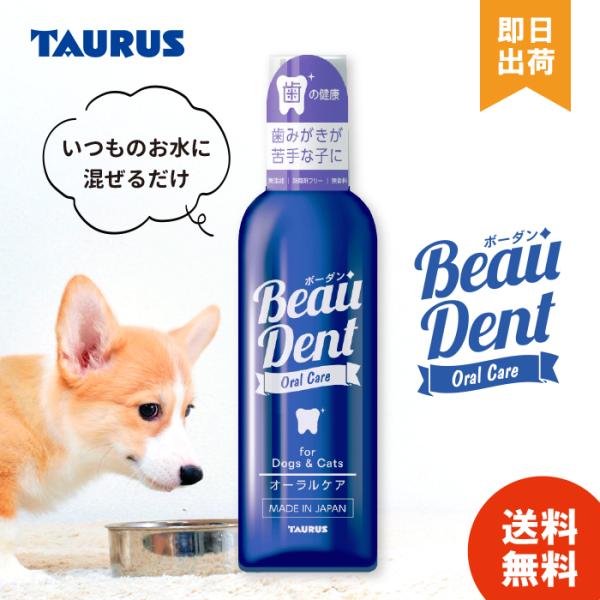 【商品情報】容量：240ml特徴：ＰＨ12のミネラル電解水だから完全無添加です。無味無臭だからお水を飲まなくなる心配がありません。1本で4か月分ととっても経済的。飲み水100mlにつき1プッシュしてください。（600mlなら6プッシュ）サイ...