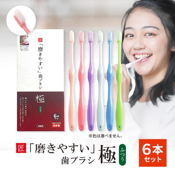 【3箱セット】田辺重吉考案 LT-53 磨きやすい 歯ブラシ 極（ふつう）先細毛 18本セット 小さめヘッド