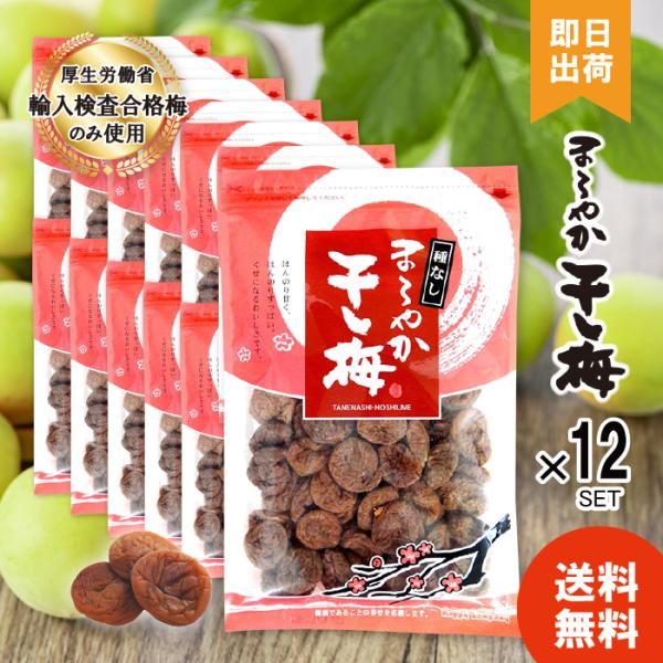 干し梅 種なし 大容量 12袋セット まとめ買い おやつ 塩分補給 チャック付き袋 ハッピーカンパニー