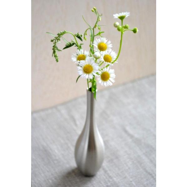 Ȑ^JԊy]C () ~j / jbPb\ (xR)z Vv t[x[X ֑} a m ̓ 蕨 Y {