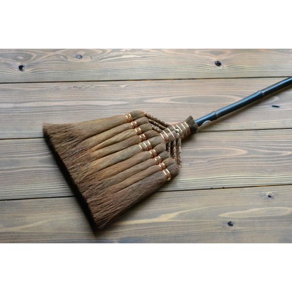 L y9ʒ (犪) / Pi b R{VX (a̎R)z lC  CeA  ̂| ق Y {