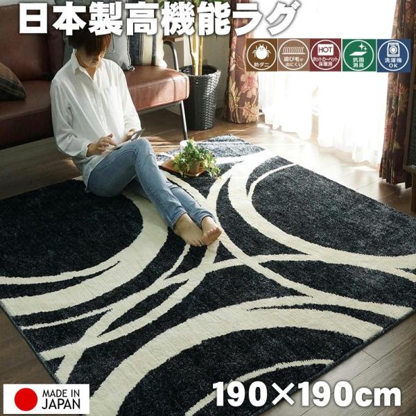 防ダニ・抗菌・消臭・ウィルス花粉対策に国産高機能ラグ『リース』　約190x190cm　