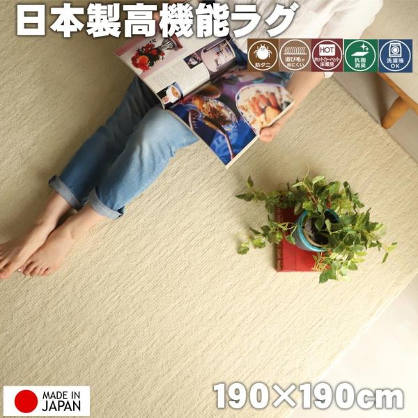 防ダニ・抗菌・消臭・ウィルス花粉対策に国産高機能ラグ『ポッシュ アイボリー』　約190x190cm　