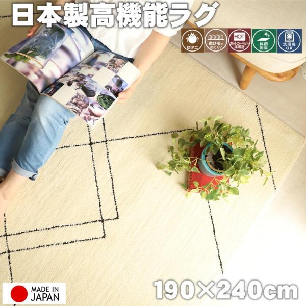 防ダニ・抗菌・消臭・ウィルス花粉対策に国産高機能ラグ『ポッシュ スクエア』　約190x240cm　
