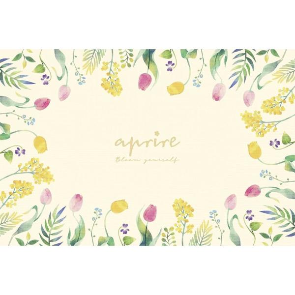 LveX^bO UT-1014 Av[ NbVW[V[g 90×60 OE lp  ԕ