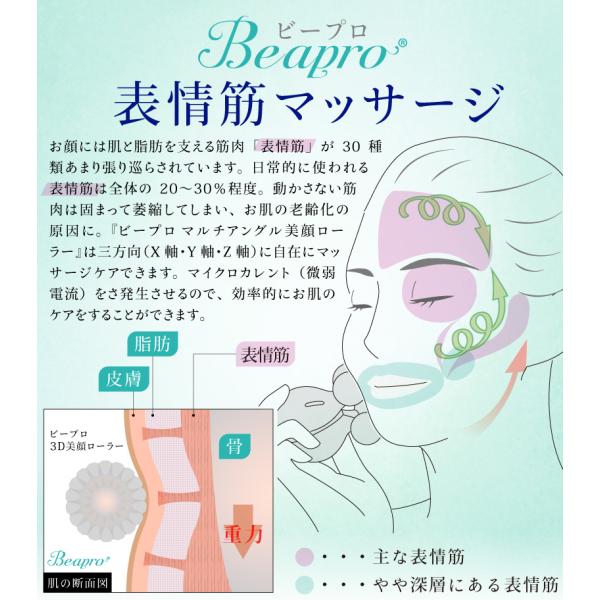 美顔ローラー 美容ローラー フェイス ボディー用 美顔器 美肌 マッサージローラー メンズ 女性兼用 母の日 ギフト プレゼント おうち時間 Buyee 日本代购平台 产品购物网站大全 Buyee一站式代购 Bot Online