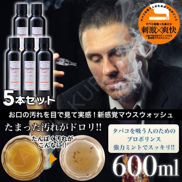 5{Zbg Propolinse v|X }EXEHbVRe Fresh 600ml ×5p Zbg ^oR L t̎   L\h sGX