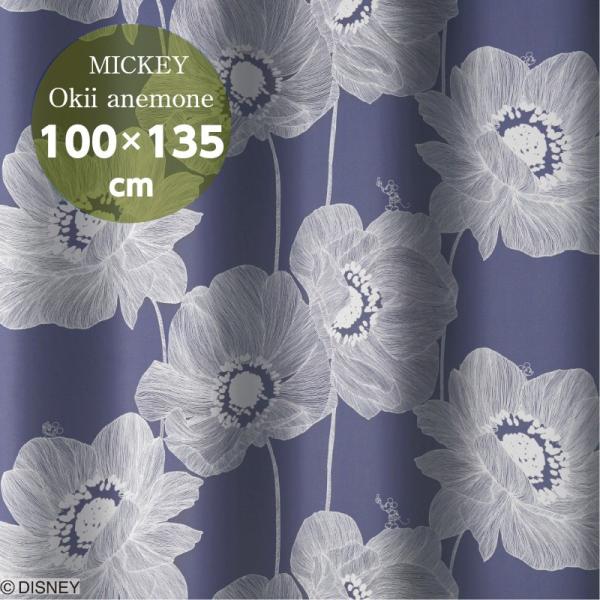 X~mG fBYj[ ~bL[  IILCAll J[e h[v 100cm×135cm M-1183(DB)  Y 1.5{q_ Ռ2 `LH EHbVu