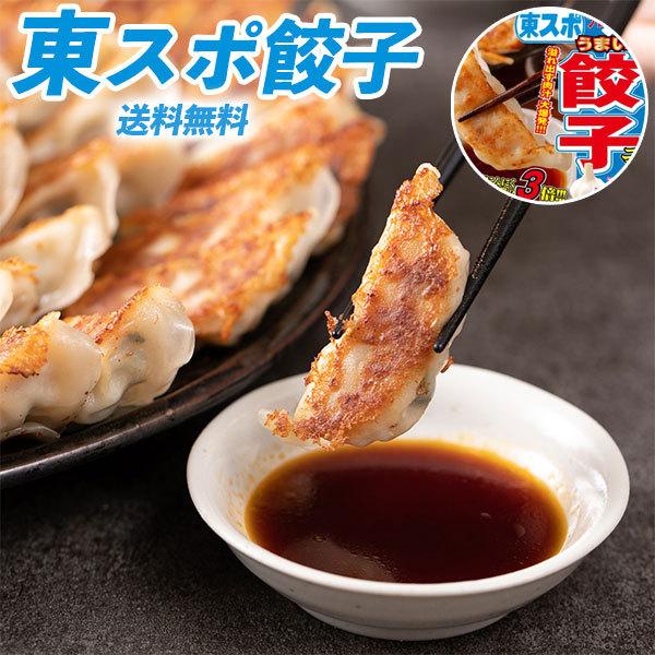 TVで紹介 東スポ餃子  1パック 1.1kg 50個 青森県産 ニンニクマシマシ 餃子 宇都宮の餃子 ギフト広場