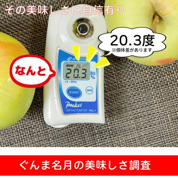 kurashino-mart_dwy-ringo-405_5_d_20260313143639