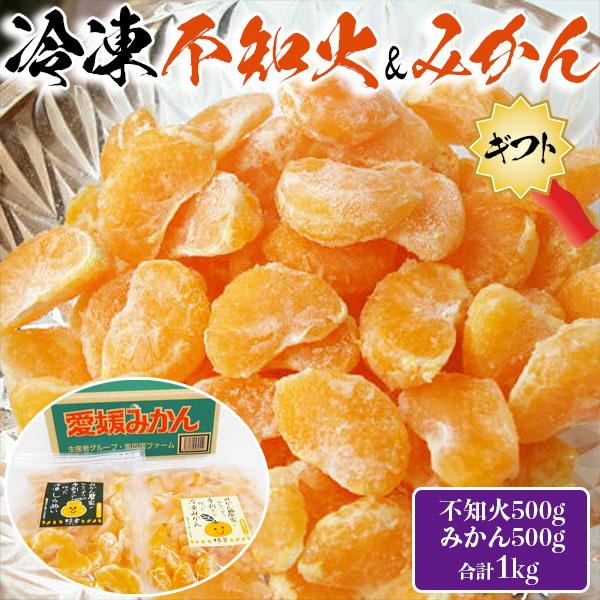 愛媛 冷凍 不知火 ＆ みかん 各500g (合計2袋 1kg) 粒楽 食べ比べセット 冷凍みかん 家庭用 夏の おやつ フルーツ アイス 果物 ギフト ギフト広場