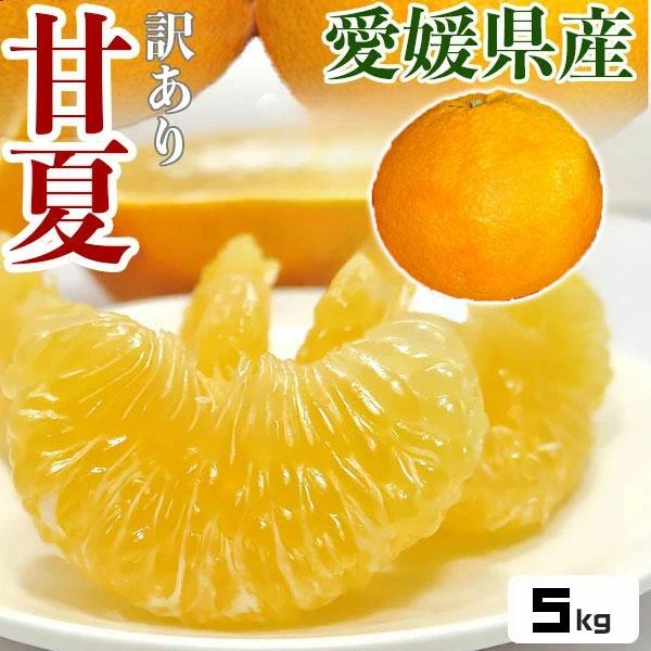 甘夏 訳あり 5kg 1箱 お買得あまなつ 愛媛県産 L〜3Lサイズ 家庭用ギフト 出荷日お任せ 指定日不可  ギフト広場