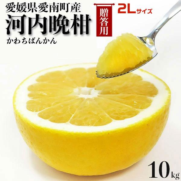 愛媛 河内晩柑 10kg 2Lサイズ指定 秀品 ギフト用 宇和ゴールド同品種 かわちばんかん 愛媛県愛南町産 柑橘みかん 果物 フルーツ 贈答用ギフトにも ギフト広場