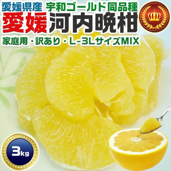 愛媛 河内晩柑 3kg 訳あり L〜3Lサイズ混合(バラ詰め) 宇和ゴールド同品種 8月以降見た目が悪くなります 柑橘みかん 家族向けギフトにも ギフト広場